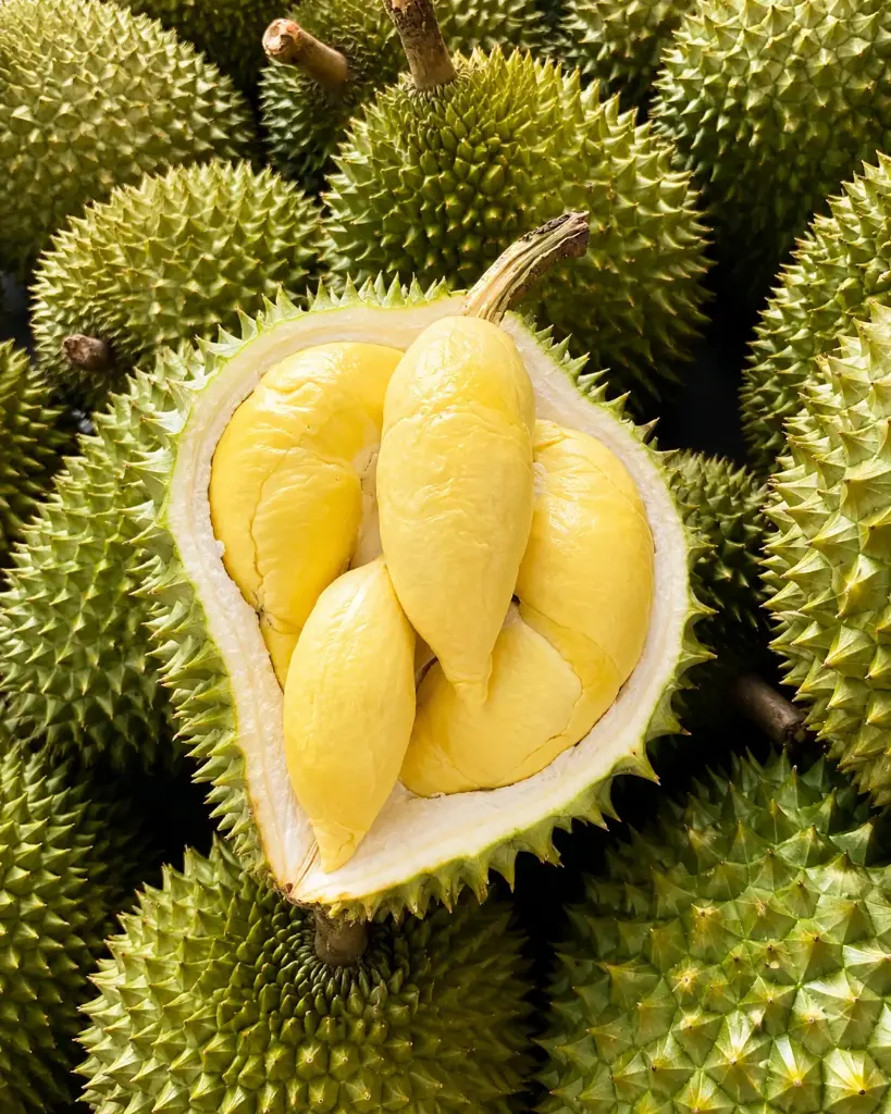 金枕榴莲