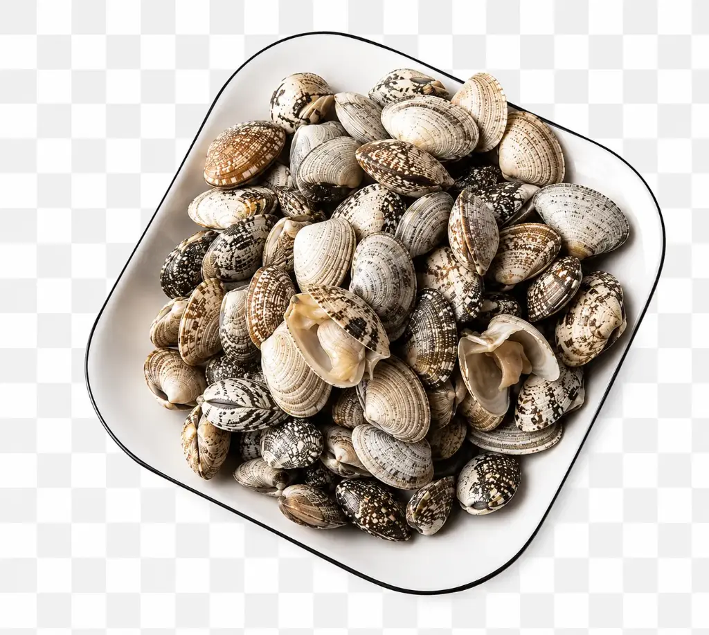 鲜蛤蜊 1kg
