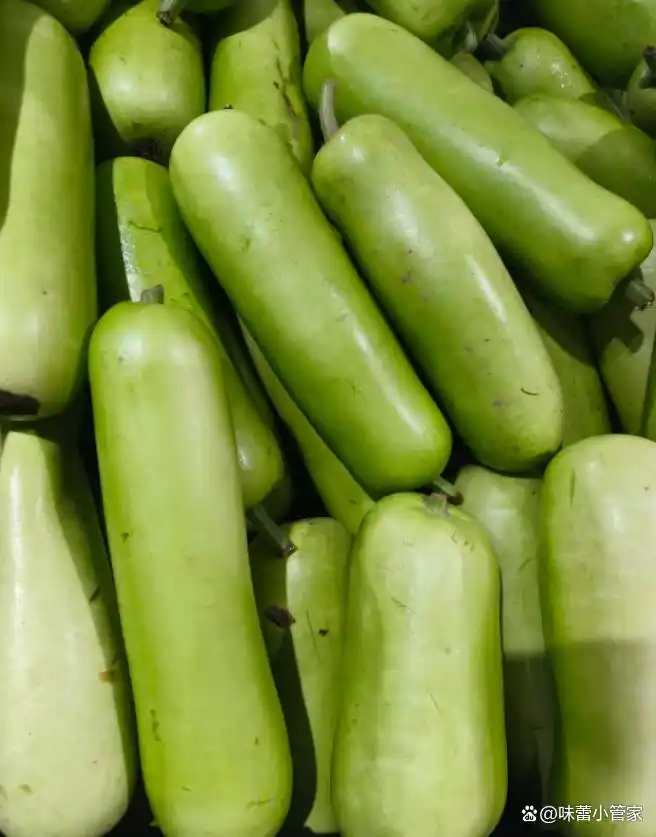 Bầu 1kg