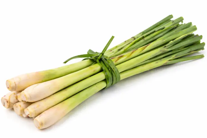 lemongrass 100g