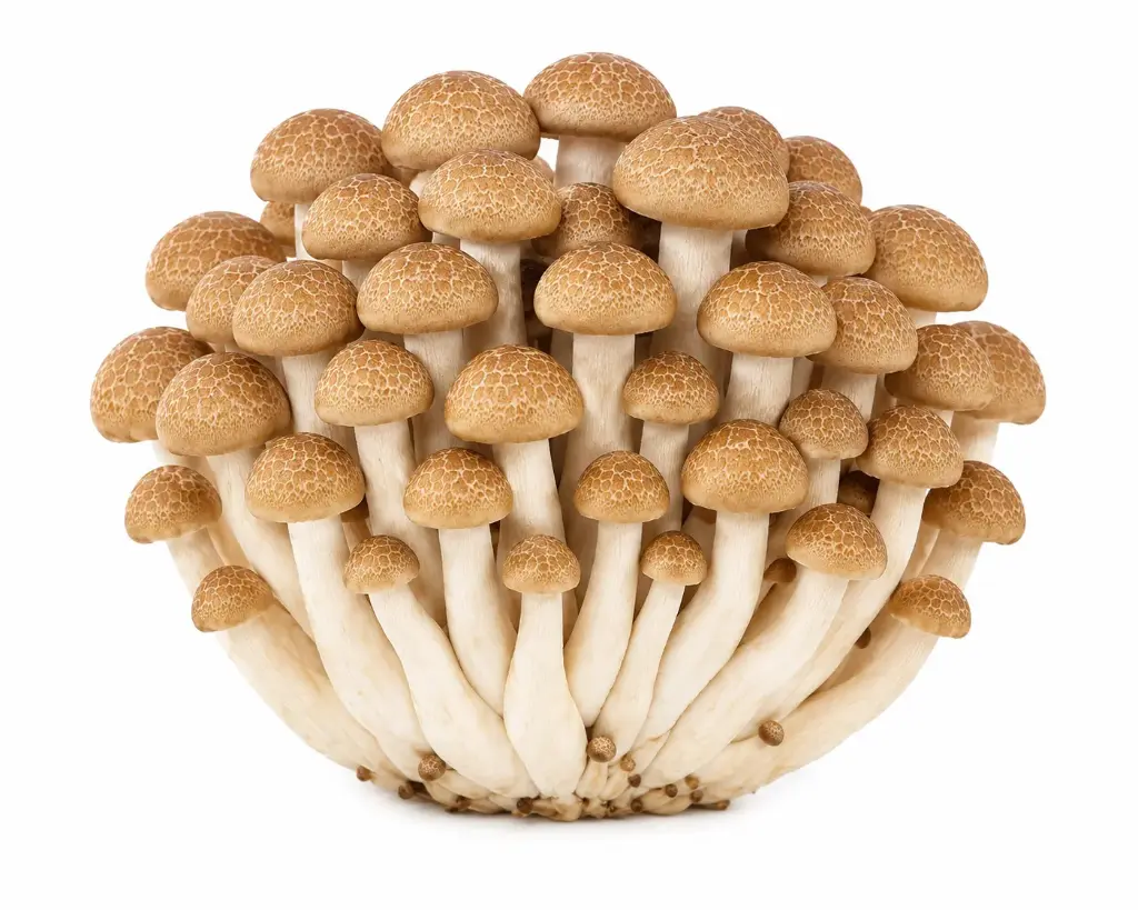 Shimeji Mushrooms Brown 150g