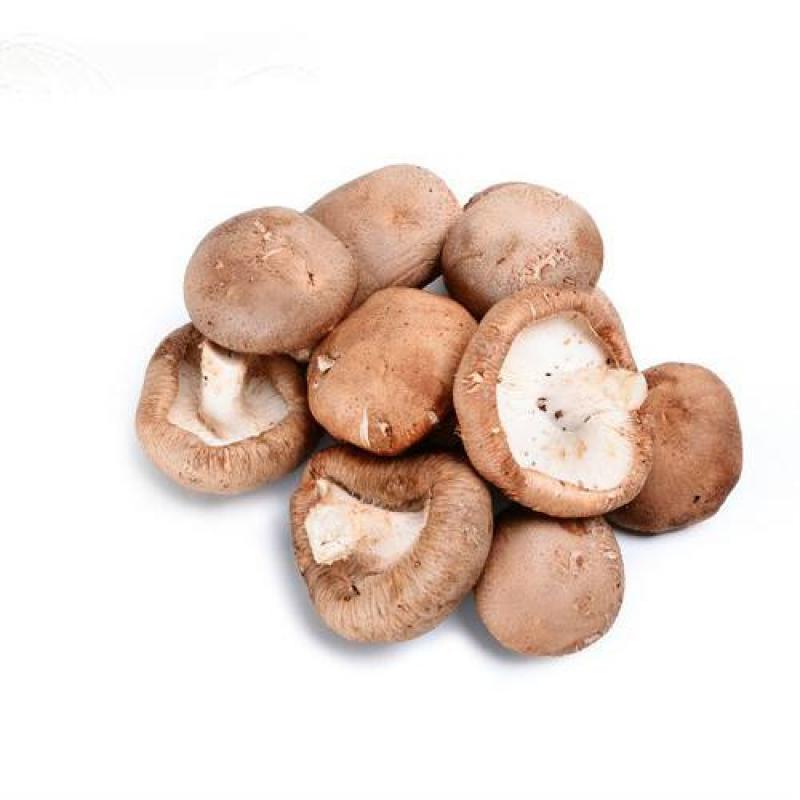 Fresh Shiitake 250g