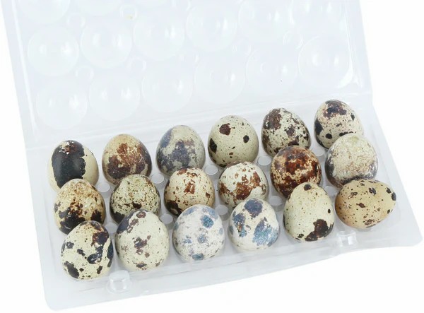Quail eggs 12-pack