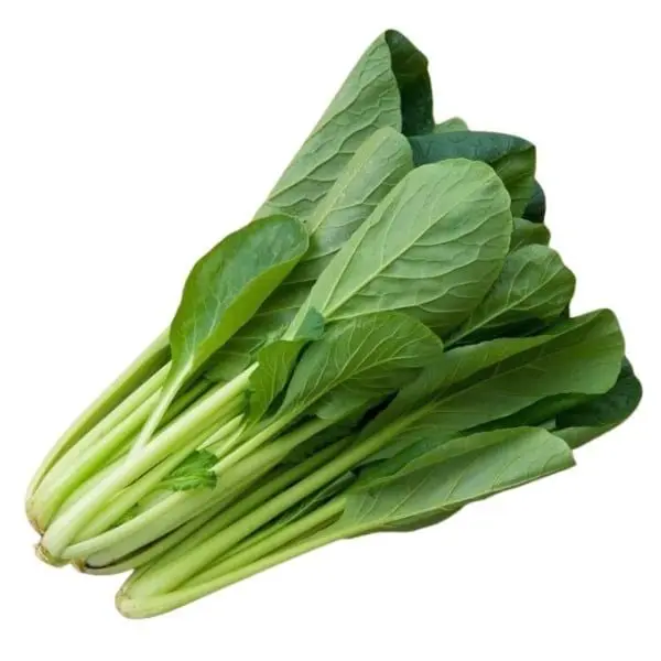 细叶菜心 1把