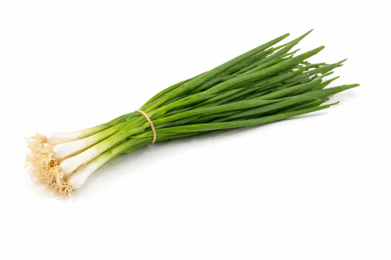 Spring onions 1 bunch