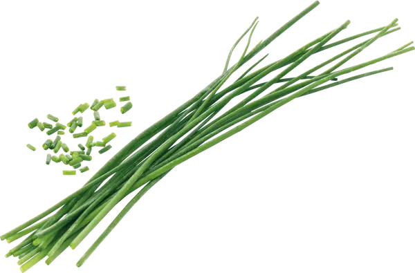 Spring onions 1 bunch
