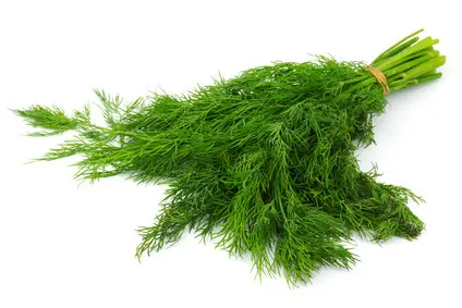 Dill 1 bunch