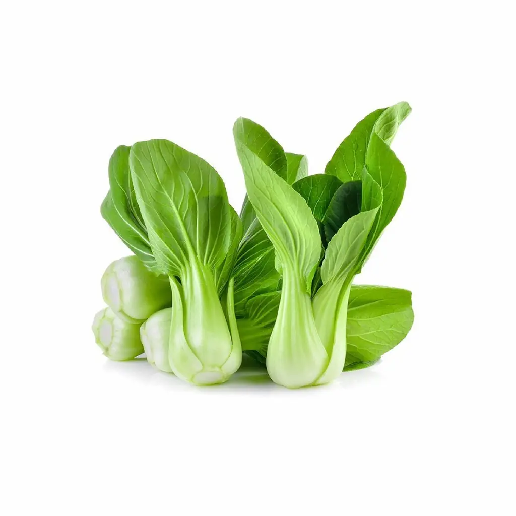 Shanghai Pak Choi Mini