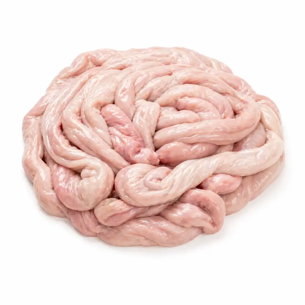 Sheep intestine