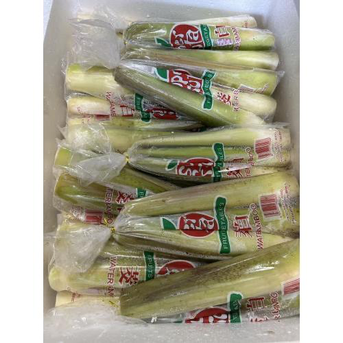 Water bamboo 400g