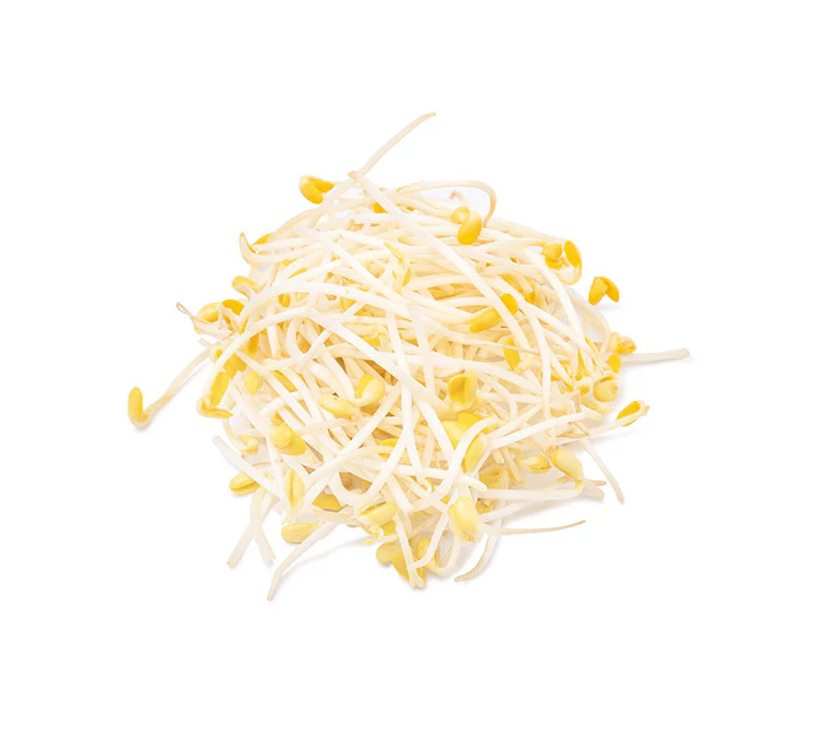 Sojabohnensprossen ca.780g