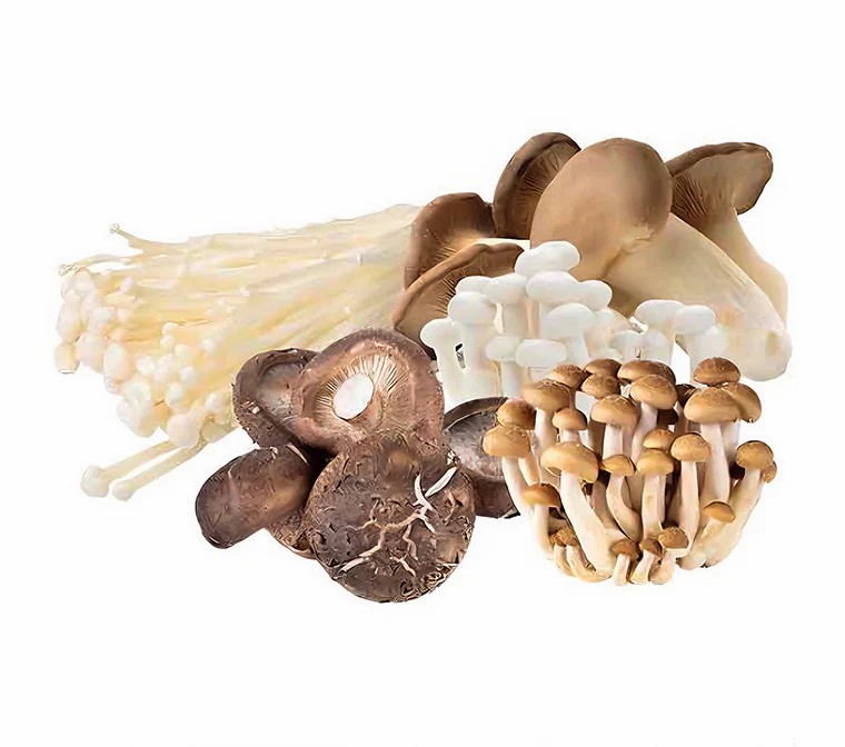 Fresh Mushroom Mix 400g