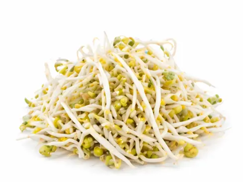 Mung bean sprouts