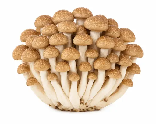 [11291] Shimeji Mushrooms Brown 150g