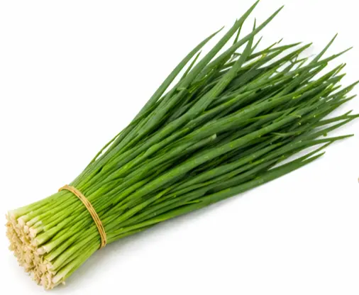 [11402] Frisch Knoblauch Schnittlauch 1 Bund