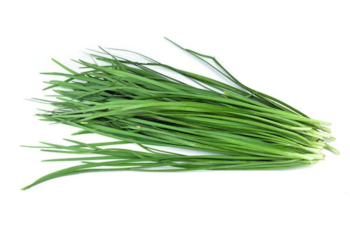 [11402] Frisch Knoblauch Schnittlauch 1 Bund