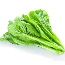 [11403] 芥菜 600g