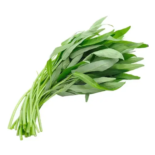 [11468] Water spinach