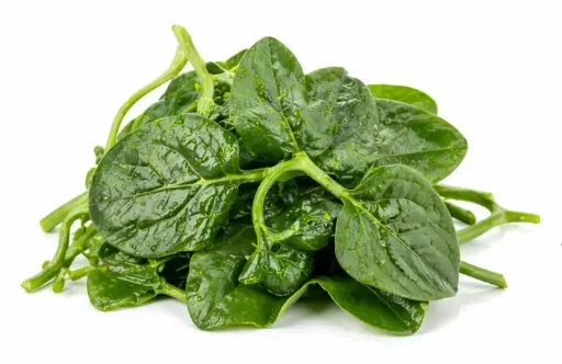 [11557] 木耳菜 1 Bund