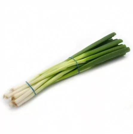 [11591] Spring onions 1 bunch
