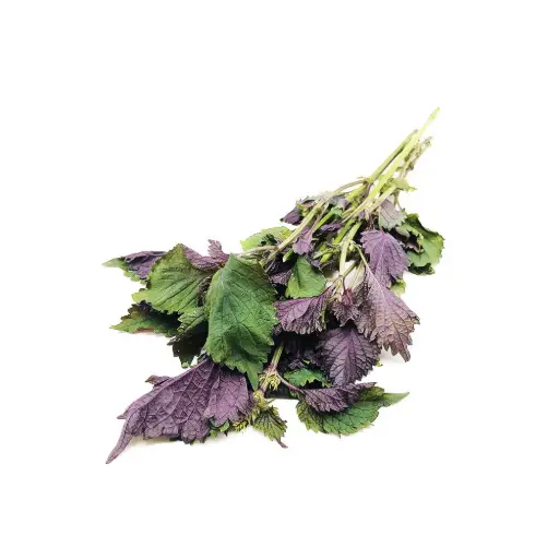 [11601] Perilla 1 Bund