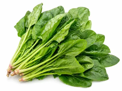 [11633] Spinach 1 bunch