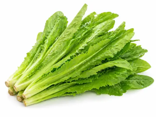 [11634] Mak Choi 
