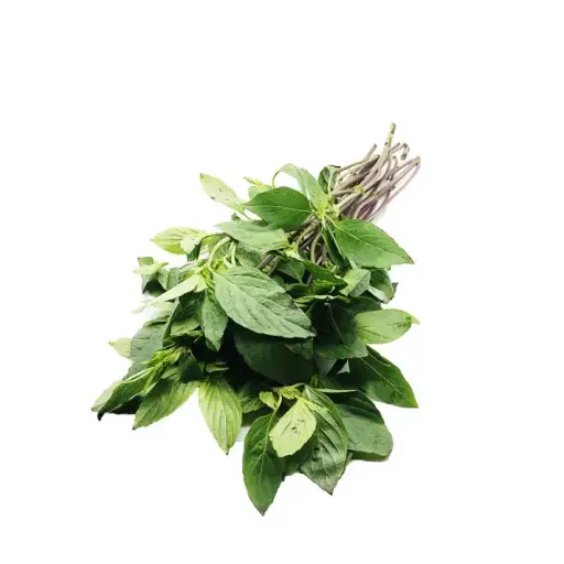 [11287] Thai basil 100g