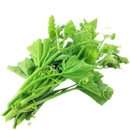 [11659] Rau Bi 1 Bund