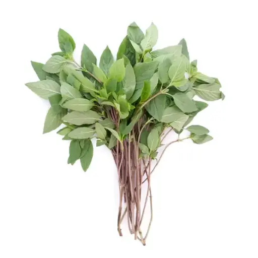 [11712] Kaprao Thai Basilikum