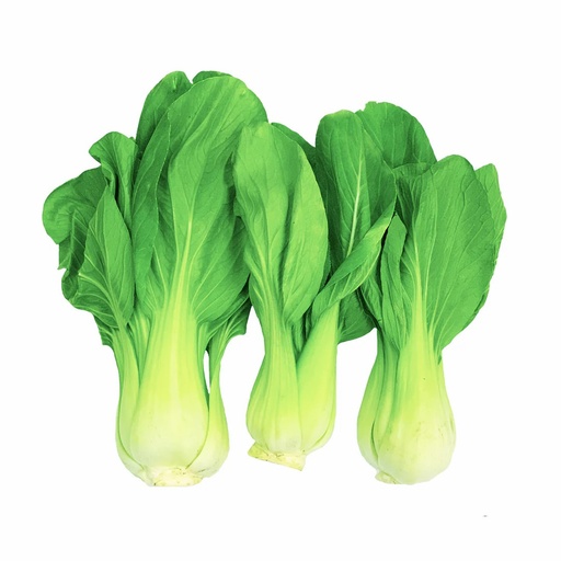 [11900] Shanghai Pak Choi