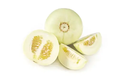 [11913] Zuckermelone