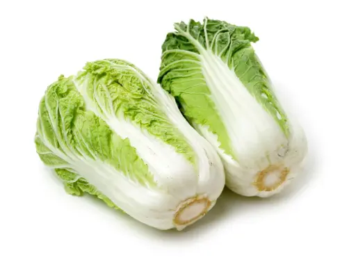 [12472] Chinese cabbage