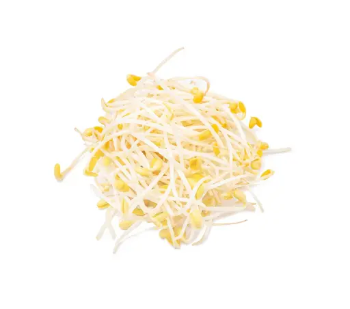 [12346] 黄豆芽 1包 约780g