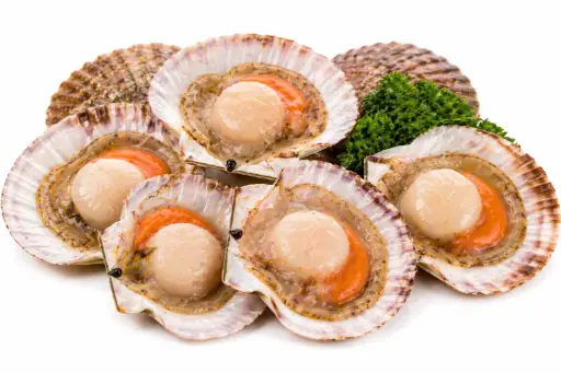 [13080] Jakobsmuscheln 500g