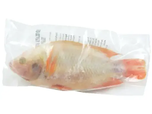 [13331] Roter Tilapia, ganz 0.8-1.1kg