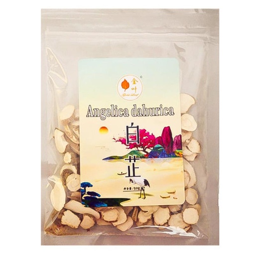 [10869] Angelica 50g