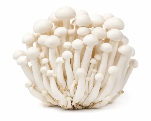 [10927] 白玉菇 150g