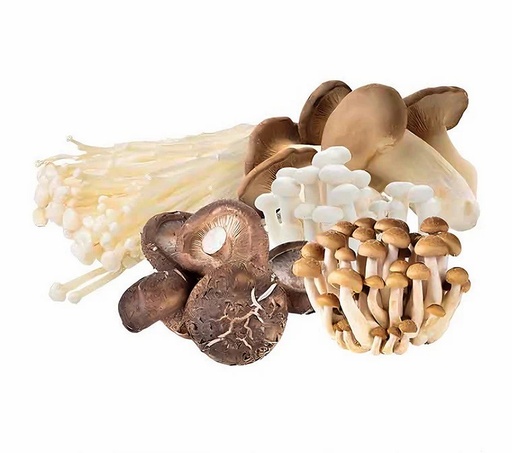 [10930] Fresh Mushroom Mix 400g
