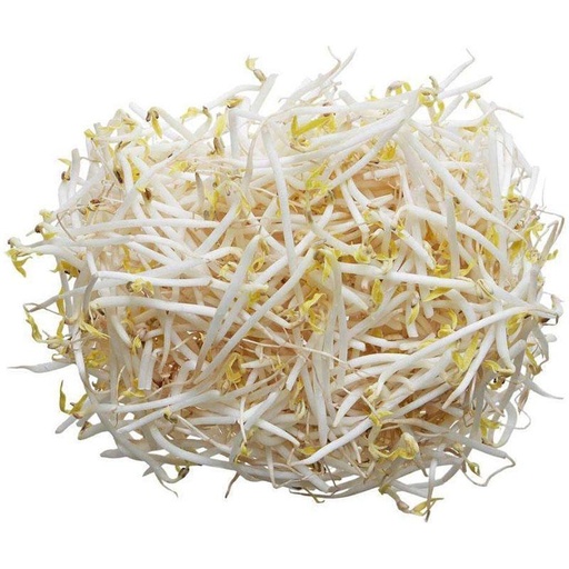 [10944] Mung bean sprouts